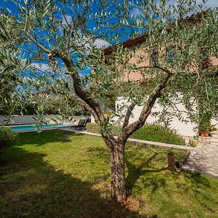 Villa Rita In Pinezici - Haus Fuer 5 Personen Marčana